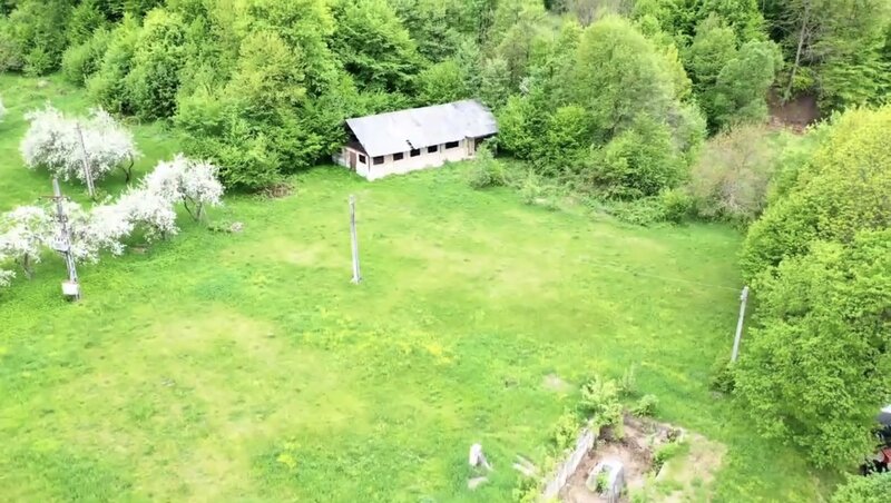 Slanic Moldova, Bacau