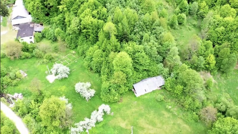 Slanic Moldova, Bacau