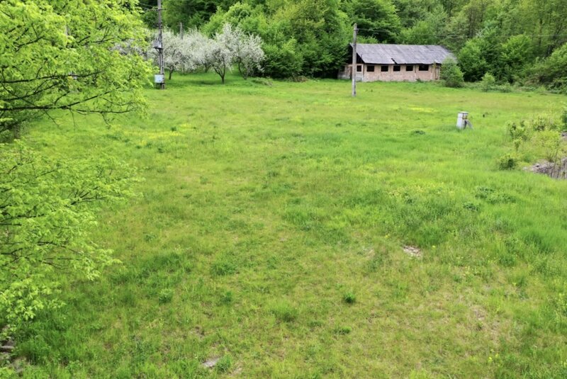 Slanic Moldova, Bacau