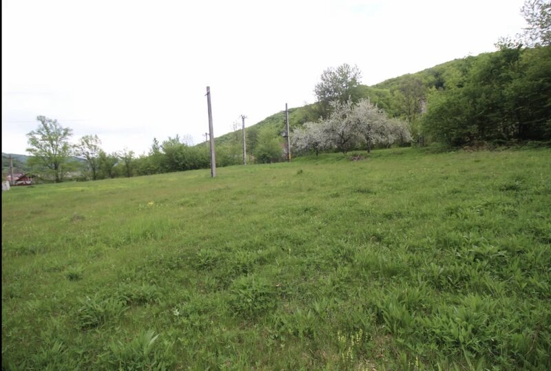 Slanic Moldova, Bacau