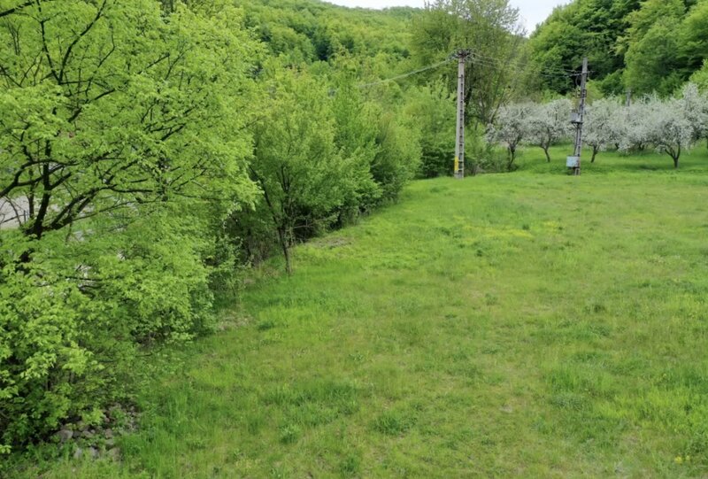 Slanic Moldova, Bacau