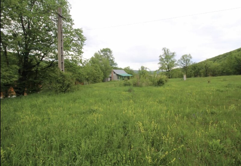 Slanic Moldova, Bacau