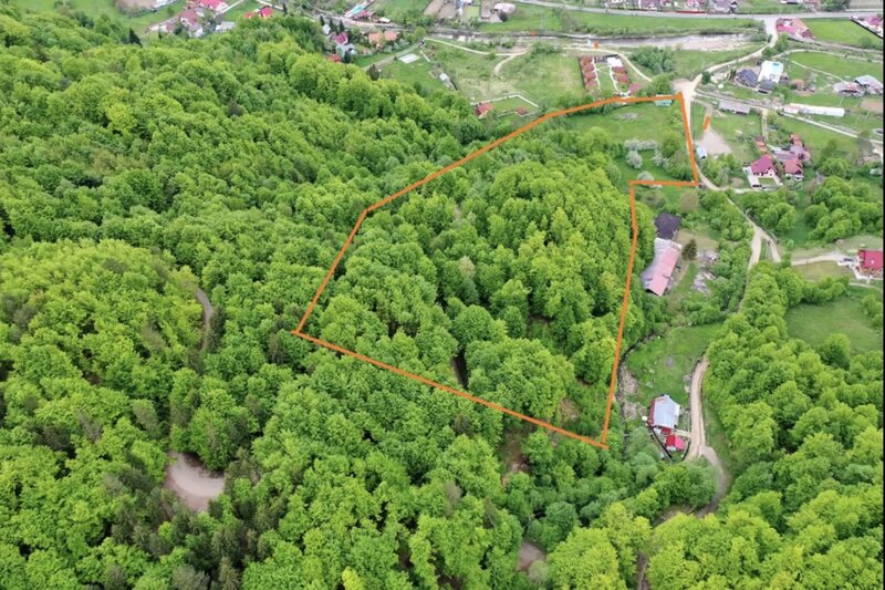 Slanic Moldova, Bacau