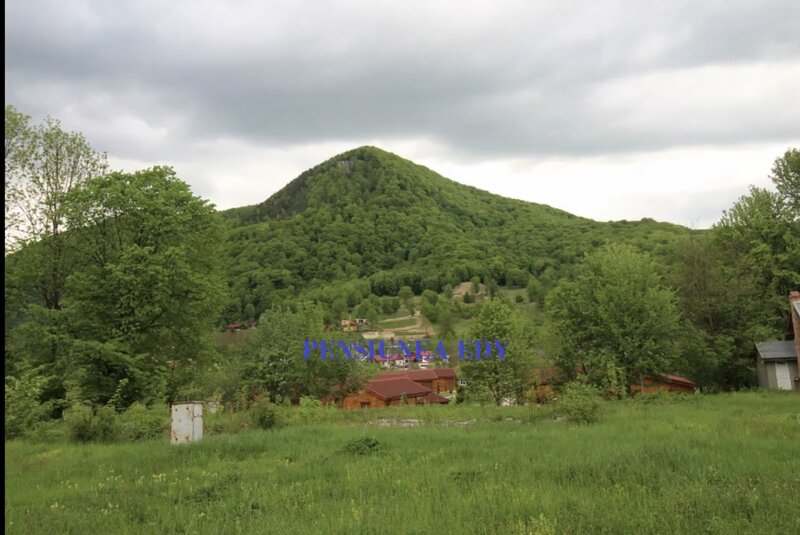 Slanic Moldova, Bacau